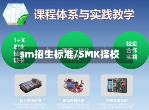 sm招生标准/SMK择校-第3张图片