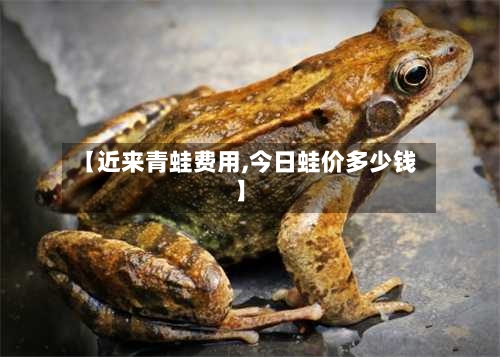 【近来青蛙费用,今日蛙价多少钱】-第3张图片