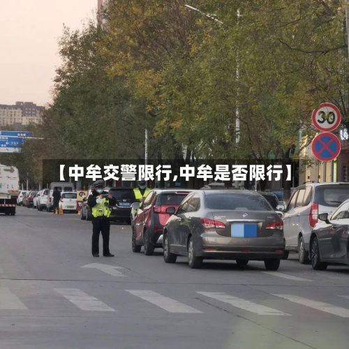 【中牟交警限行,中牟是否限行】