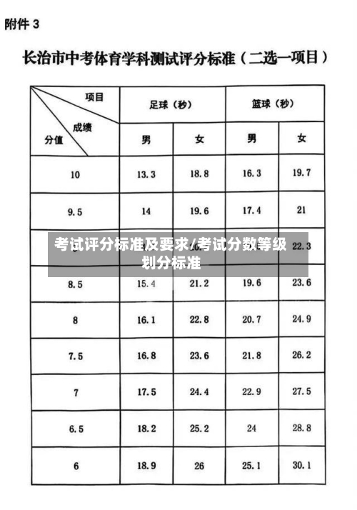 考试评分标准及要求/考试分数等级划分标准-第2张图片