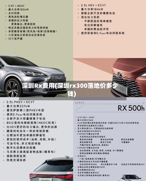 深圳Rx费用(深圳rx300落地价多少钱)