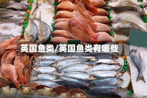 英国鱼类/英国鱼类有哪些-第3张图片