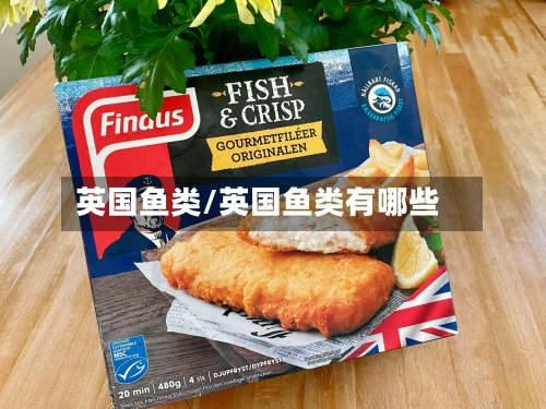 英国鱼类/英国鱼类有哪些