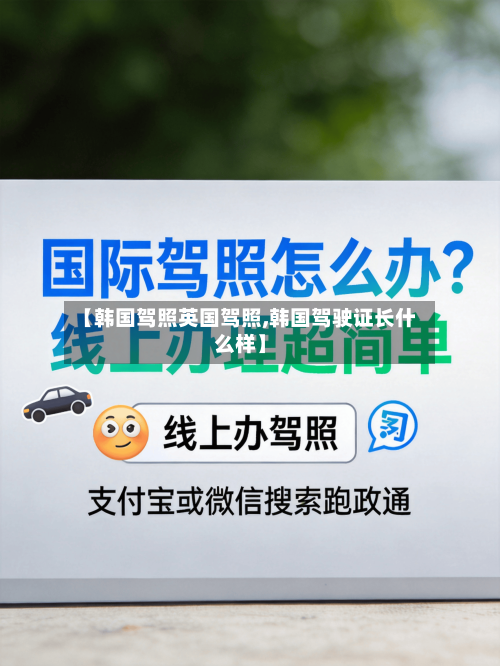 【韩国驾照英国驾照,韩国驾驶证长什么样】