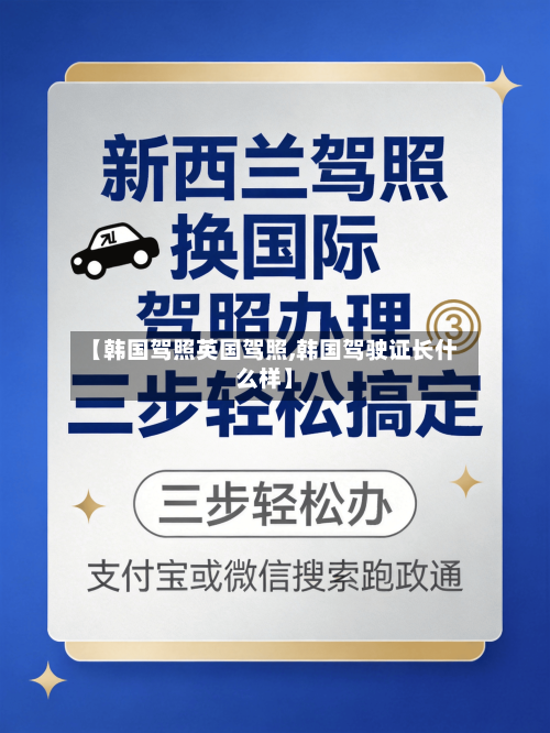【韩国驾照英国驾照,韩国驾驶证长什么样】-第3张图片