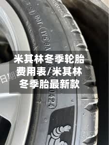 米其林冬季轮胎费用表/米其林冬季胎最新款
