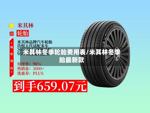 米其林冬季轮胎费用表/米其林冬季胎最新款-第2张图片