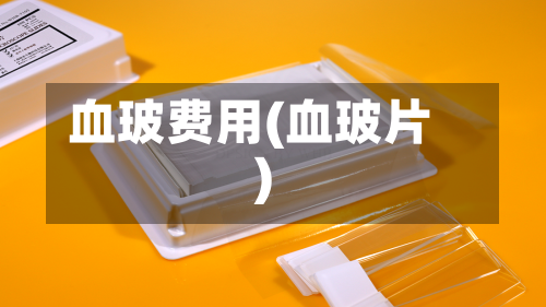 血玻费用(血玻片)