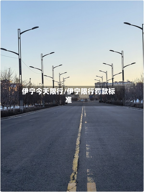 伊宁今天限行/伊宁限行罚款标准