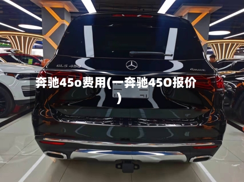 奔驰45o费用(一奔驰45O报价)-第2张图片