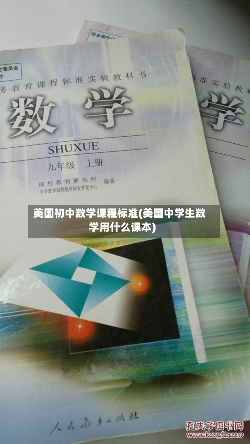 美国初中数学课程标准(美国中学生数学用什么课本)-第2张图片