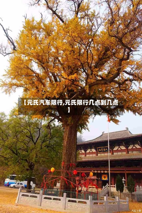 【元氏汽车限行,元氏限行几点到几点】