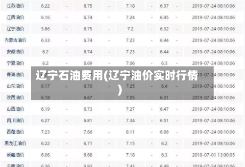 辽宁石油费用(辽宁油价实时行情)