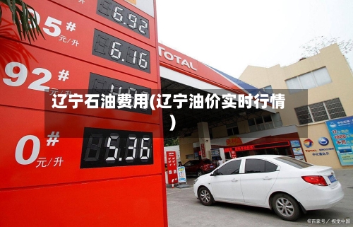 辽宁石油费用(辽宁油价实时行情)-第2张图片