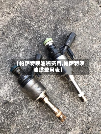 【帕萨特喷油嘴费用,帕萨特喷油嘴费用表】