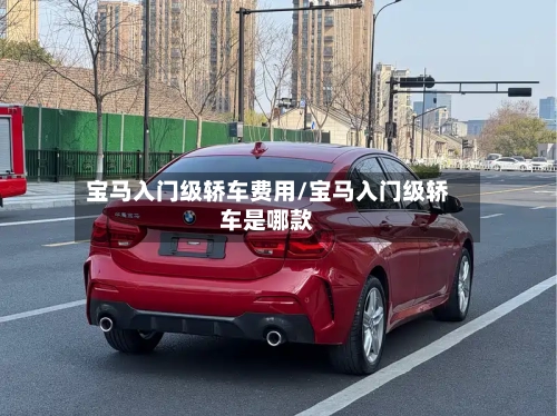 宝马入门级轿车费用/宝马入门级轿车是哪款-第2张图片