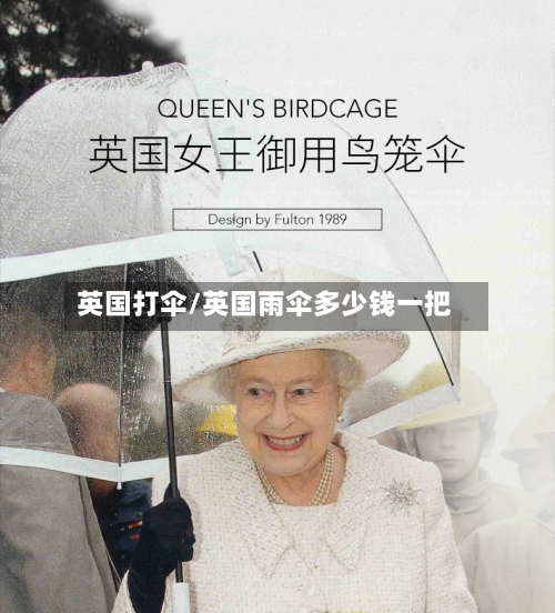 英国打伞/英国雨伞多少钱一把-第3张图片