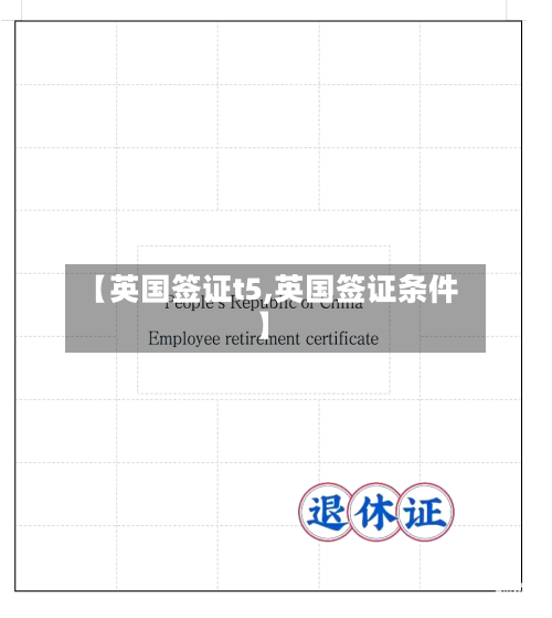 【英国签证t5,英国签证条件】