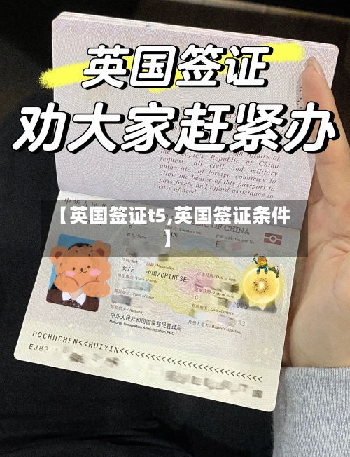 【英国签证t5,英国签证条件】-第3张图片