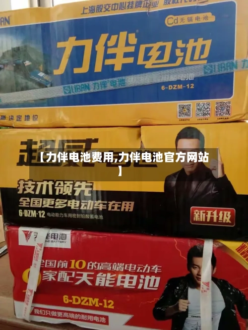 【力伴电池费用,力伴电池官方网站】-第2张图片