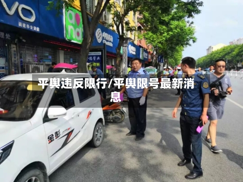 平舆违反限行/平舆限号最新消息-第3张图片