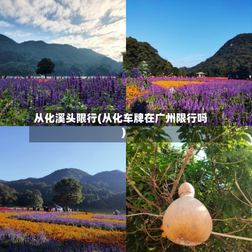 从化溪头限行(从化车牌在广州限行吗)-第3张图片