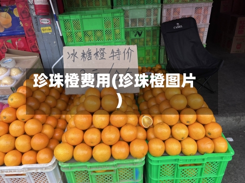 珍珠橙费用(珍珠橙图片)