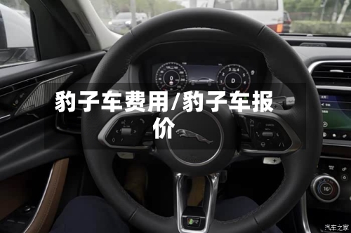 豹子车费用/豹子车报价-第2张图片
