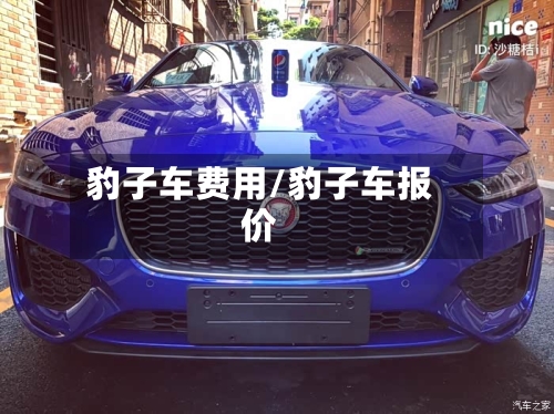 豹子车费用/豹子车报价