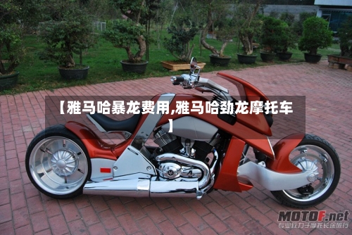 【雅马哈暴龙费用,雅马哈劲龙摩托车】