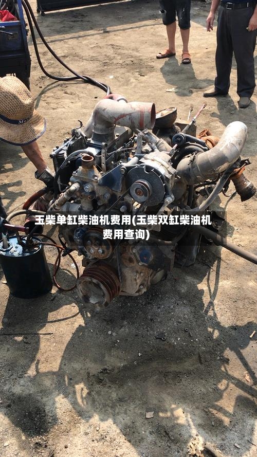 玉柴单缸柴油机费用(玉柴双缸柴油机费用查询)-第3张图片