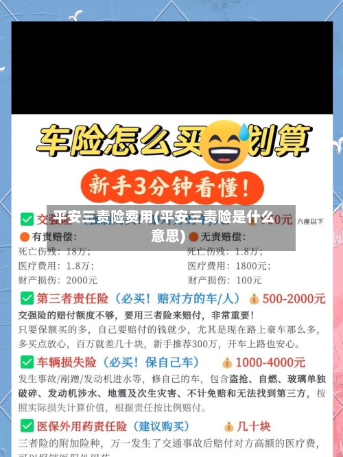 平安三责险费用(平安三责险是什么意思)-第3张图片