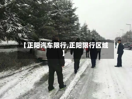 【正阳汽车限行,正阳限行区域】-第2张图片