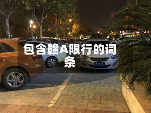 包含赣A限行的词条