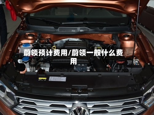 蔚领预计费用/蔚领一般什么费用-第3张图片