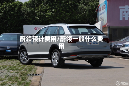 蔚领预计费用/蔚领一般什么费用-第2张图片