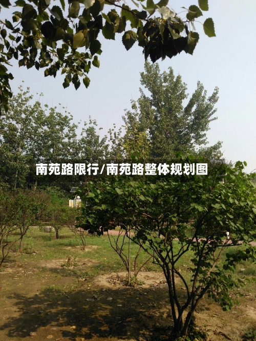 南苑路限行/南苑路整体规划图-第2张图片