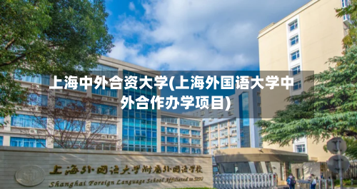 上海中外合资大学(上海外国语大学中外合作办学项目)