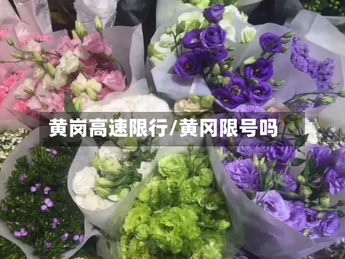 黄岗高速限行/黄冈限号吗-第3张图片