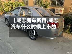 【威志新车费用,威志汽车什么时候上市的】