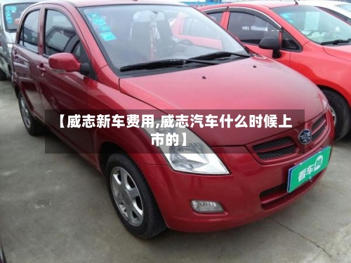 【威志新车费用,威志汽车什么时候上市的】-第2张图片