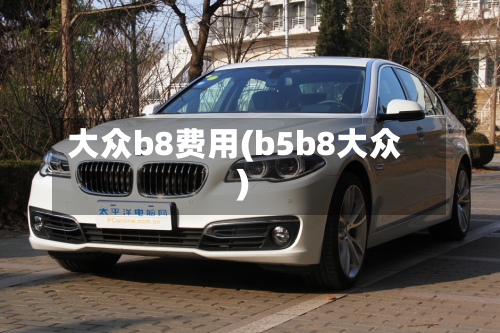 大众b8费用(b5b8大众)