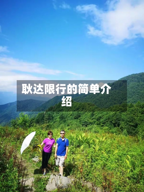 耿达限行的简单介绍-第2张图片