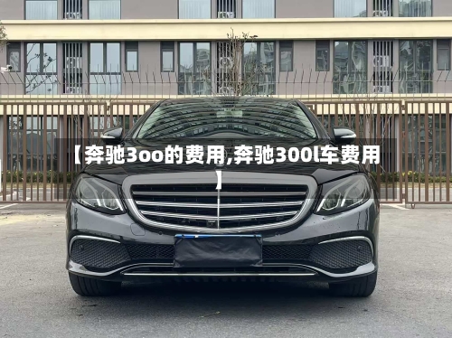 【奔驰3oo的费用,奔驰300l车费用】-第2张图片
