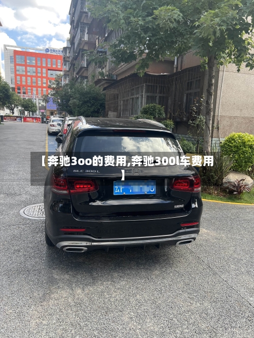 【奔驰3oo的费用,奔驰300l车费用】