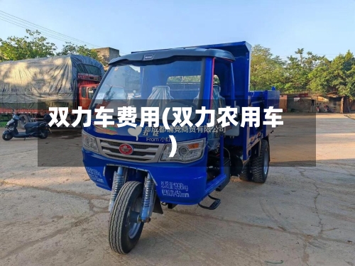 双力车费用(双力农用车)-第2张图片