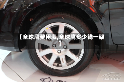 【全球鹰费用表,全球鹰多少钱一架】
