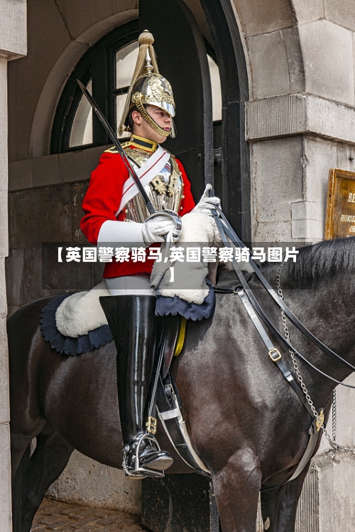 【英国警察骑马,英国警察骑马图片】