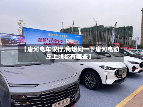 【唐河电车限行,我想问一下唐河电动车上牌都有哪些】