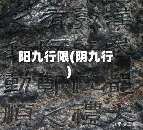 阳九行限(阴九行)